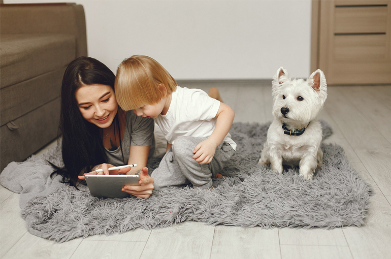 The Best Rugs for Homes with Kids and Pets